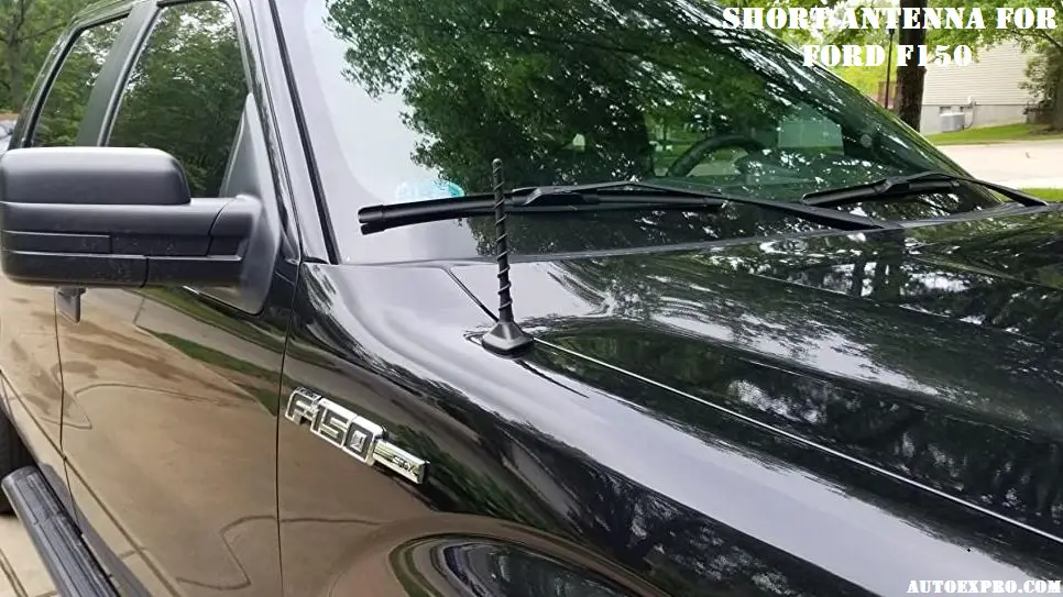 Short Antenna for Ford F150